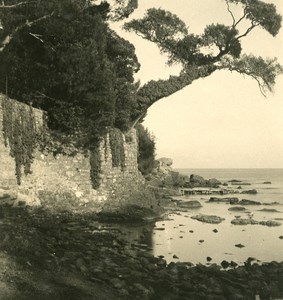 Italy Liguria Riviera Genoa Nervi Sea Front Old NPG Stereo Photo 1900