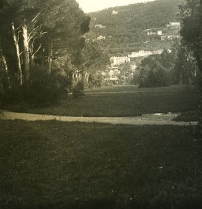 Italy Liguria Riviera Genoa Nervi Viali Old NPG Stereo Photo 1900