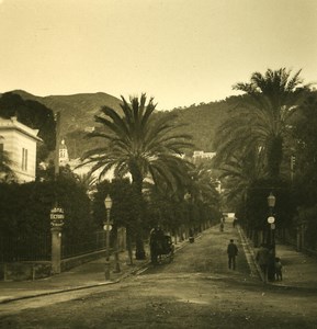 Italy Liguria Riviera Genoa Nervi Palme Street Old NPG Stereo Photo 1900