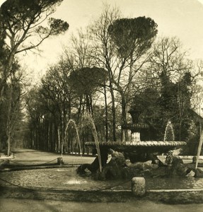 Italy Roma Villa Borghese Gardens Detail Old NPG Stereo Photo 1900