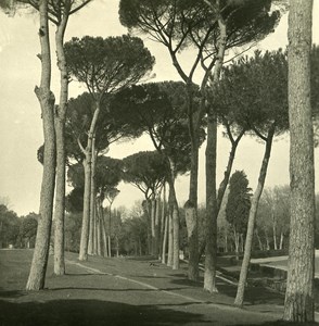 Italy Roma Villa Borghese Gardens Detail Old NPG Stereo Photo 1900