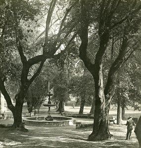 Italy Roma Villa Borghese Gardens Detail Old NPG Stereo Photo 1900