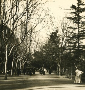 Italy Roma Pincio Viale Old NPG Stereo Photo 1900