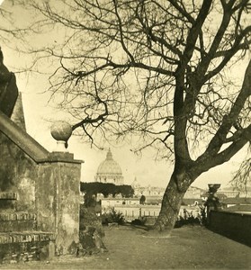 Italy Roma Oak of Tasso Old NPG Stereo Photo 1900