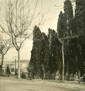 Italy Roma Gianicolo Cypress Old NPG Stereo Photo 1900