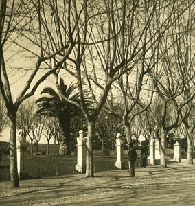 Italy Roma Gianicolo Viale Old NPG Stereo Photo 1900