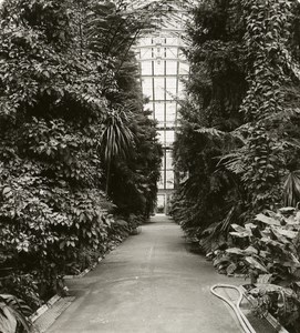 United Kingdom London Kew Royal Botanical Gardens Old Rotary Stereo Photo 1900