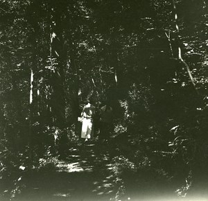 Switzerland Lake Thun Spiez Forest old Possemiers Stereo Photo 1920