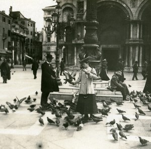 Italy Venice Doves of Piazza San Marco old Possemiers Stereo Photo 1908