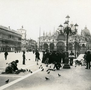 Italy Venice Doves of Piazza San Marco old Possemiers Stereo Photo 1908