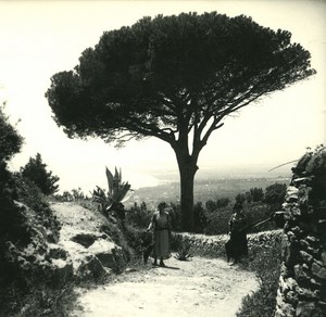 France Corse Environs de Bastia Biguglio ancienne photo stereo Amateur 1920