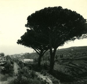 France Corse Environs de Bastia Biguglio ancienne photo stereo Amateur 1920