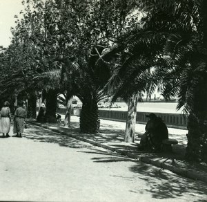 France Corse Bastia Place Saint Nicolas ancienne photo stereo Amateur 1920