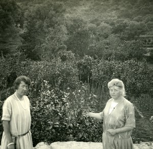 France Corsica Around Ile Rousse Old Stereo Photo 1920