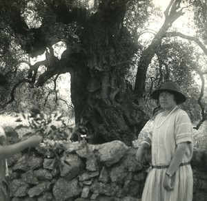 France Corse Environs d Ile Rousse ancienne photo stereo Amateur 1920