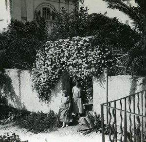 France Corse Ile Rousse Jardins de l Hotel Europe ancienne photo stereo Amateur 1920