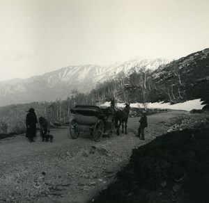 France Corse Col de Vergio ancienne photo stereo Amateur 1920