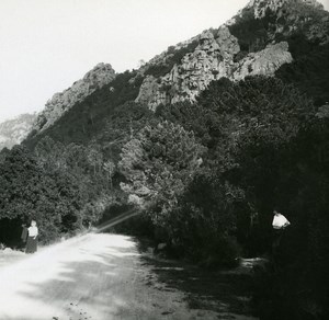 France Corse Calanques de Piana le maquis ancienne photo stereo Amateur 1920