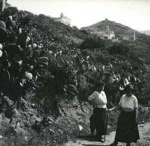 France Corse Cargese Panorama ancienne photo stereo Amateur 1920