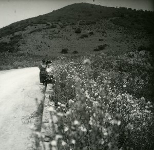 France Corse Environs d Ajaccio ancienne photo stereo Amateur 1920