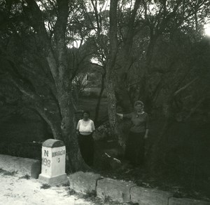 France Corse Bonifacio Bois d Oliviers ancienne photo stereo Amateur 1920