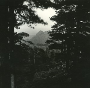 France Corse Aiguilles de Bavella ancienne photo stereo Amateur 1920