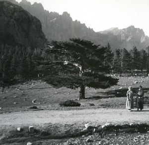 France Corse Col de Bavella ancienne photo stereo Amateur 1920