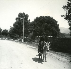 France Corse Pres de San Gavino le Corse et son ane ancienne photo stereo Amateur 1920