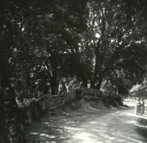 France Corse San Gavino Bois de Genevriers ancienne photo stereo Amateur 1920
