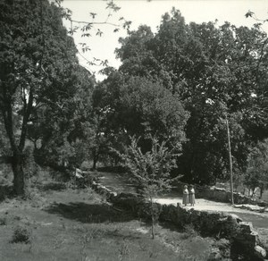 France Corse San Gavino Bois de Genevriers ancienne photo stereo Amateur 1920