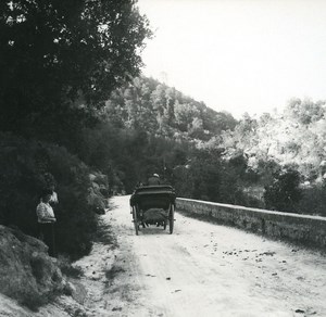 France Corse Entre Quenza et Sonza ancienne photo stereo Amateur 1920