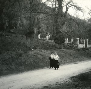 France Corsica Verde Pass Chesnut Trees Ticavo Old Stereo Photo 1920