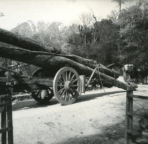 France Corse Col de Verde Transport de Bois ancienne photo stereo Amateur 1920