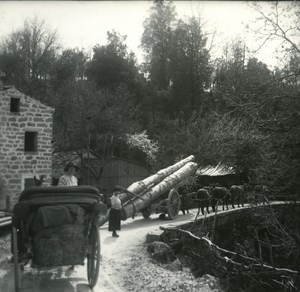 France Corse Col de Verde Transport de Bois ancienne photo stereo 1920