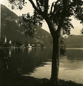 Switzerland Vitznan Panorama Old NPG Stereo Photo 1906