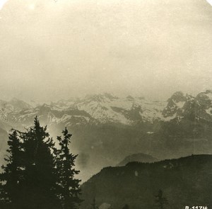 Switzerland Alps Panorama from Stauserhorn Stereo anonymous Studio Photo 1906