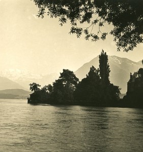 Switzerland Alps Bernese Oberland Lake Thun Old NPG Stereo Photo 1906