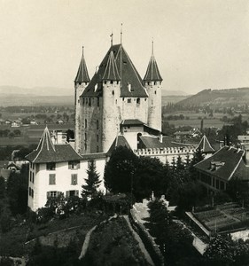 Switzerland Alps Bernese Oberland Lake Thun Old NPG Stereo Photo 1906