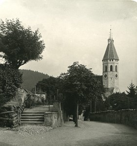 Switzerland Alps Bernese Oberland Lake Thun Old NPG Stereo Photo 1906