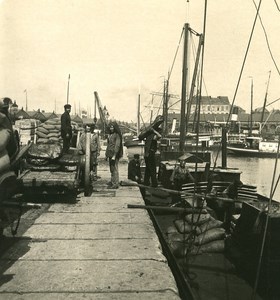 Belgium Port of Antwerp Loading a barge Old NPG Stereo Photo 1906