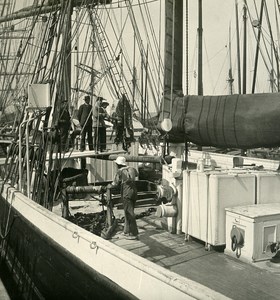 Belgium Port of Antwerp Unloading skins of oxen Old NPG Stereo Photo 1906