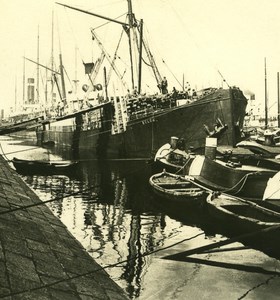 Belgium Port of Antwerp Port Kattendyck Old NPG Stereo Photo 1906