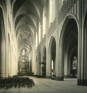 Belgium Antwerp Cathedral Interior Old NPG Stereo Photo 1906