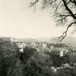 Italy Port of Genoa view from Acqua Sola Old NPG Stereo Photo 1906