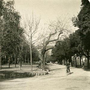 Italy Port of Genoa Gardens of Acqua Sola Old NPG Stereo Photo 1906