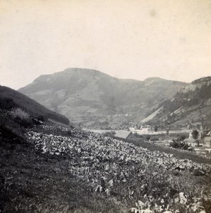 France Auvergne Puy Gros at Mont Dore Panorama Old Stereo Stereoview Photo 1900