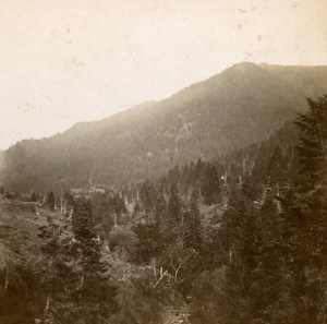 France View taken at Lioran Old Stereo Stereoview Photo 1900