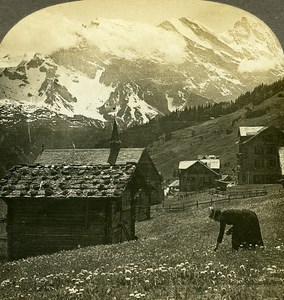 Switzerland Murren Breithorn & Gspaltenhorn Old Stereo Photo William Rau 1900