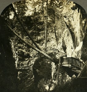 Switzerland In the Gorner Gorge Gorner Glacier Old Stereo Photo William Rau 1900