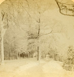 USA Niagara Falls a crystal Vista Old Stereo Stereoview Photo 1900